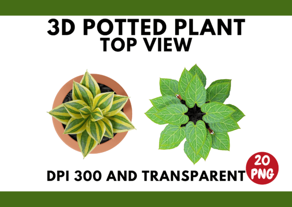 3D Render Potted Plant Top View Assets